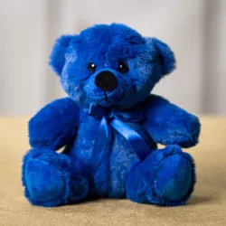 teddy2.webp