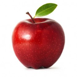 istockphoto-185262648-170667a.jpg