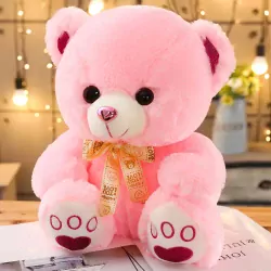teddy1.webp