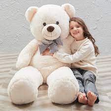 Gteddy.jfif