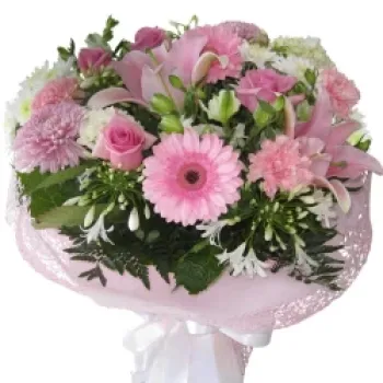 QA rose