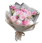 Rosy Gemss 3