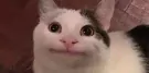 Nicolas QA TEST - NICOLAS TEST 1