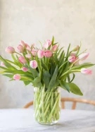 Tulips in a Vase - Tulips