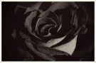 black2 - simple