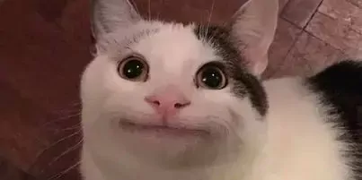 Nicolas QA TEST - NICOLAS TEST 1
