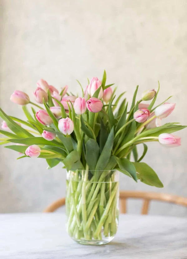 Tulips in a Vase - Tulips