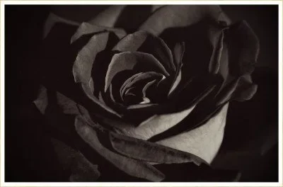 black2 - simple