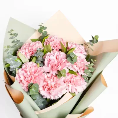Love Blossoms - deluxe