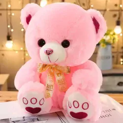 teddy1.webp