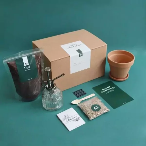 Plant Gift Box - Plant Gift Box